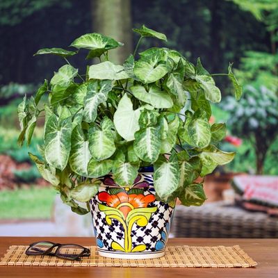 Alternate image for Majolica Ceramic Flower Pot Wild Flowers