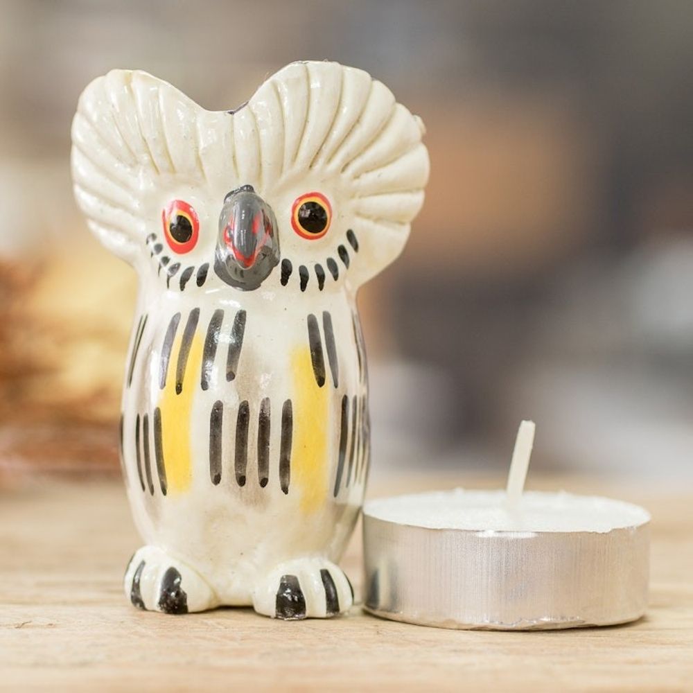 Alternate item image