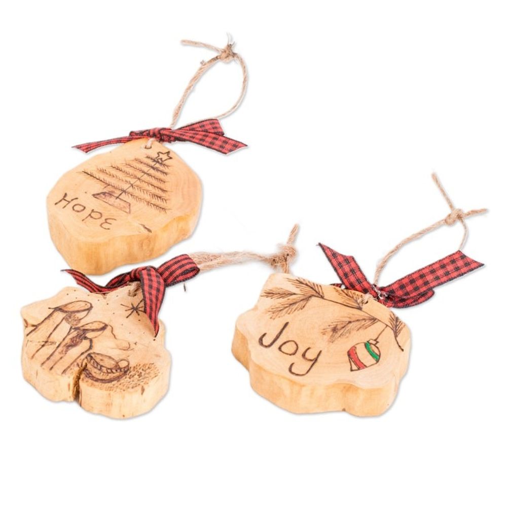 Alternate item image