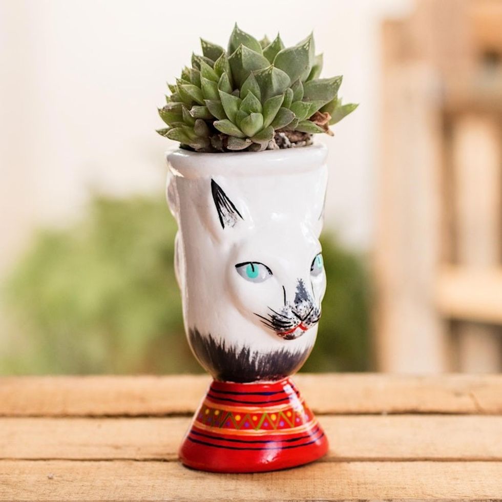 Guatemalan Ceramic Flower Pot 'Top Cat in White'