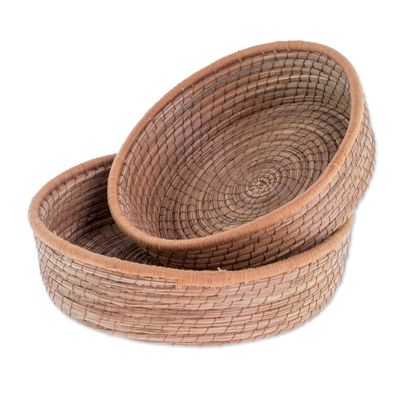 Alternate image for Handmade Pine Needle and Cotton Baskets in Sepia Pair Journey to Tecpan in Sepia