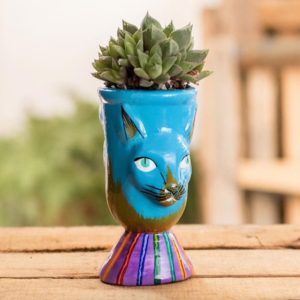 Small Handcrafted Ceramic Plant Pot 'Top Cat in Turquoise'