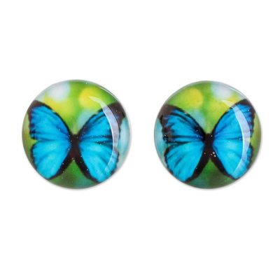 Alternate image for Butterfly Resin Button Earrings with Stainless Steel Posts Morpheus
