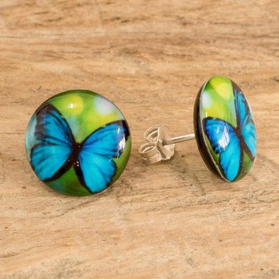 Alternate image for Butterfly Resin Button Earrings with Stainless Steel Posts Morpheus