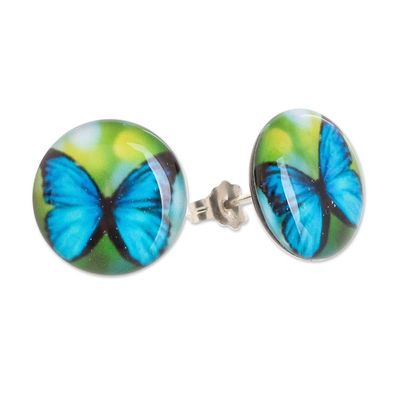 Alternate image for Butterfly Resin Button Earrings with Stainless Steel Posts Morpheus