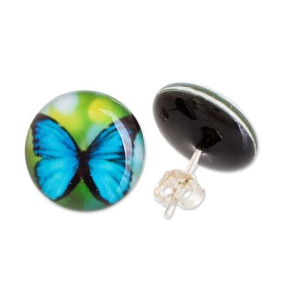 Alternate image for Butterfly Resin Button Earrings with Stainless Steel Posts Morpheus