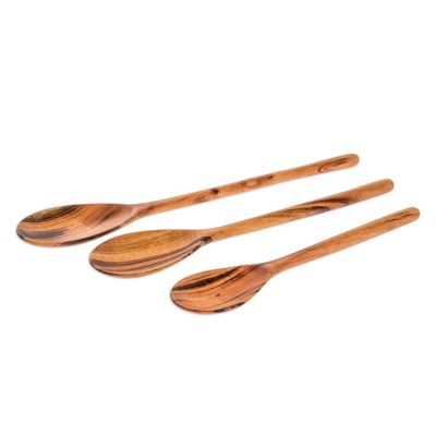 Alternate image for Set of 3 Unique Wood Serving Spoons Peten Trio