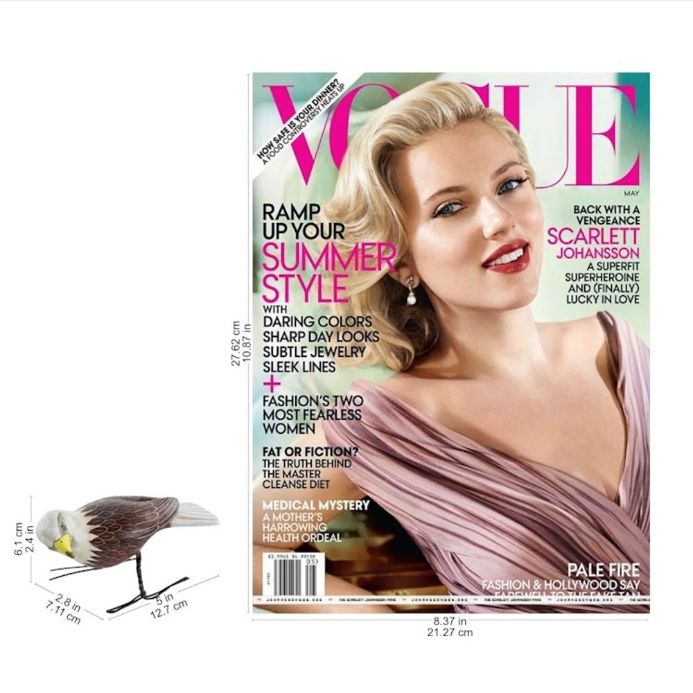 Alternate item image