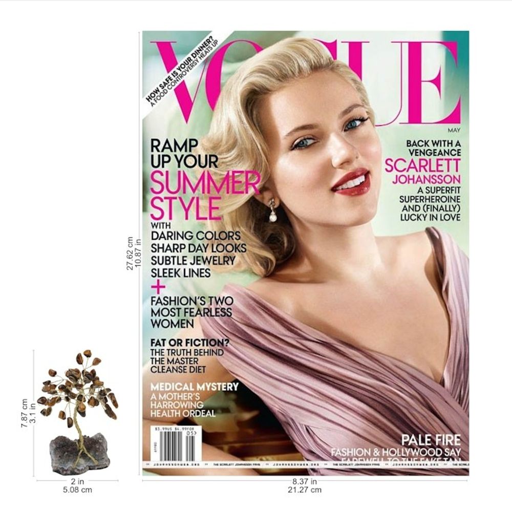 Alternate item image