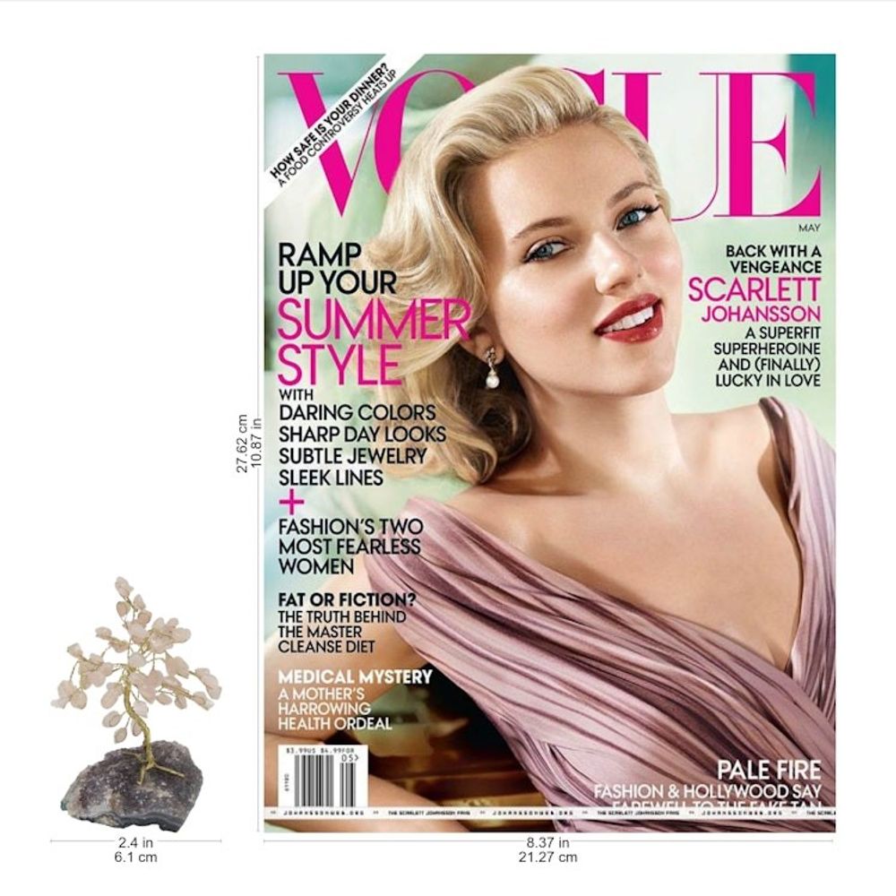 Alternate item image