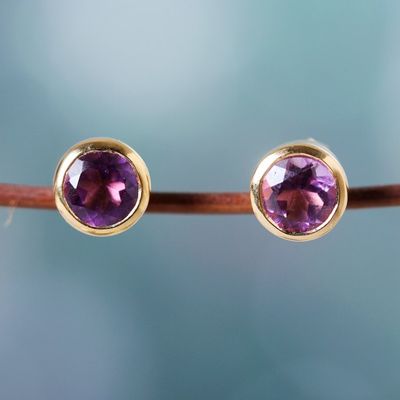 Alternate image for 22k Gold-Plated Round Stud Earrings with Amethyst Gems Golden Wise World