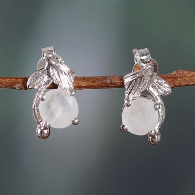 Alternate image for Rhodium-Plated Sterling Silver Rainbow Moonstone Earrings Oneiric Leaf
