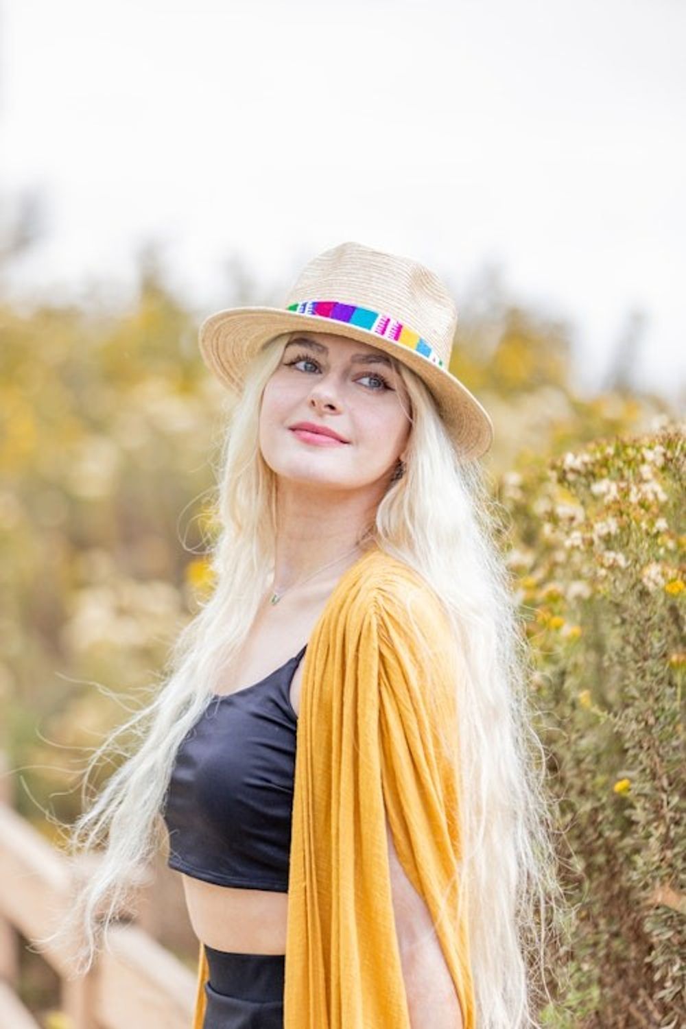 Alternate item image