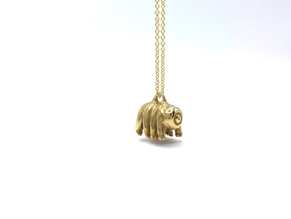 Bronze Tardigrade Necklace on 14k Gold Filled Chain