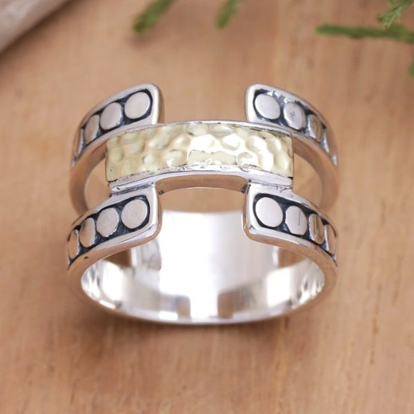 Alternate image for Band Ring with A Hammered Finish 18k Gold-Plated Accent Armadillo Glam