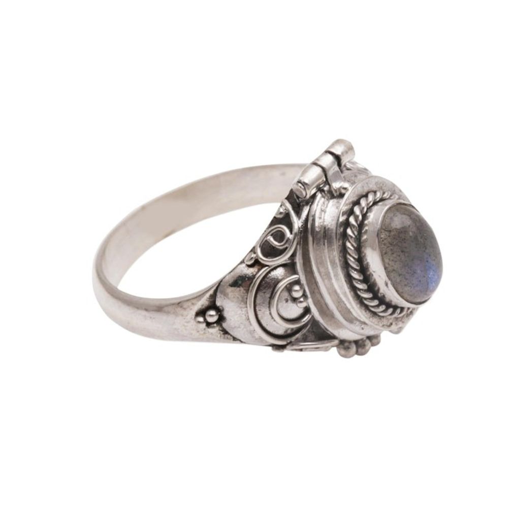 Alternate item image