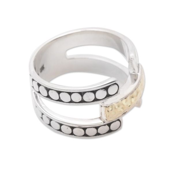 Alternate image for Band Ring with A Hammered Finish 18k Gold-Plated Accent Armadillo Glam