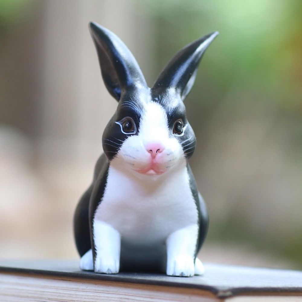 Alternate item image