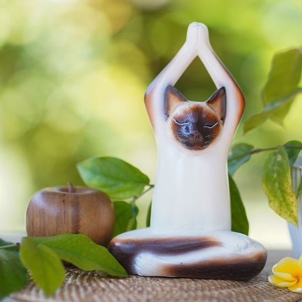 Alternate image for Wood Sculpture Yoga Siamese Cat Toward the Sky
