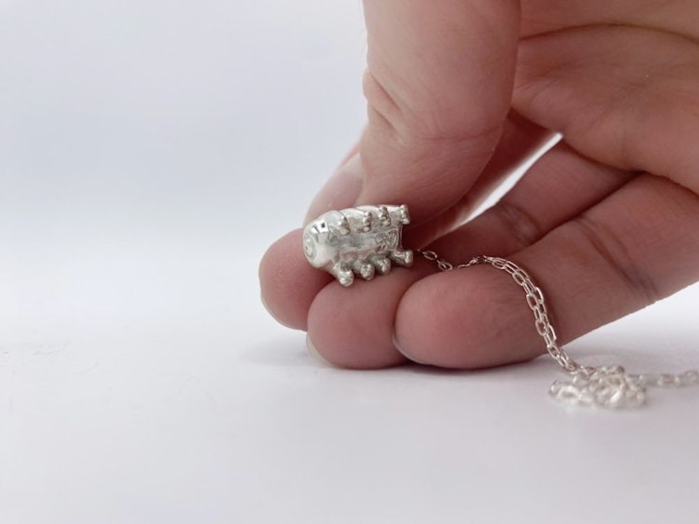 Alternate item image