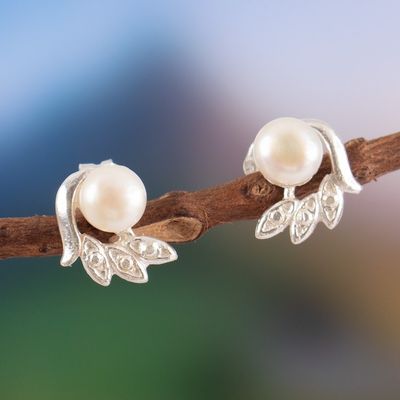 Alternate image for Cultured Pearl Sterling Silver Wing-Shaped Button Earrings Embrace Freedom