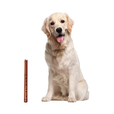 Alternate image for Quena Wood Inca Flute with Case Handmade in Peru Jacaranda