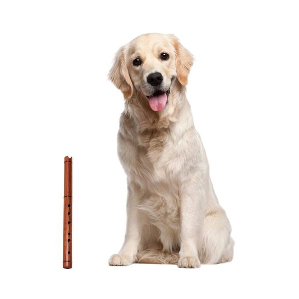 Alternate image for Quena Wood Inca Flute with Case Handmade in Peru Jacaranda