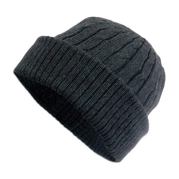 Alternate image for Cable-Knit 100 Alpaca Hat in Moss from Peru Moss Braid Cascade