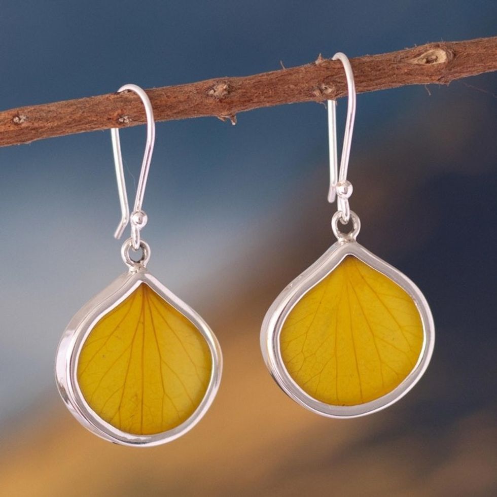 Sterling Silver and Dried Leaf Dangle Earrings from Peru 'Yellow Hydrangea'