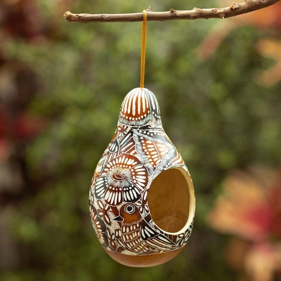 Handmade Dried Gourd Birdhouse with Andean and Bird Details 'Garden Chant'