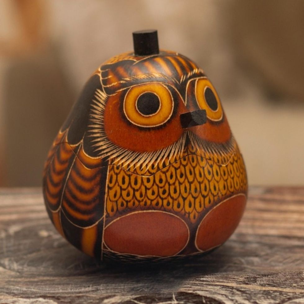 Mate Gourd Owl Decorative Container 'Owl's Wisdom'