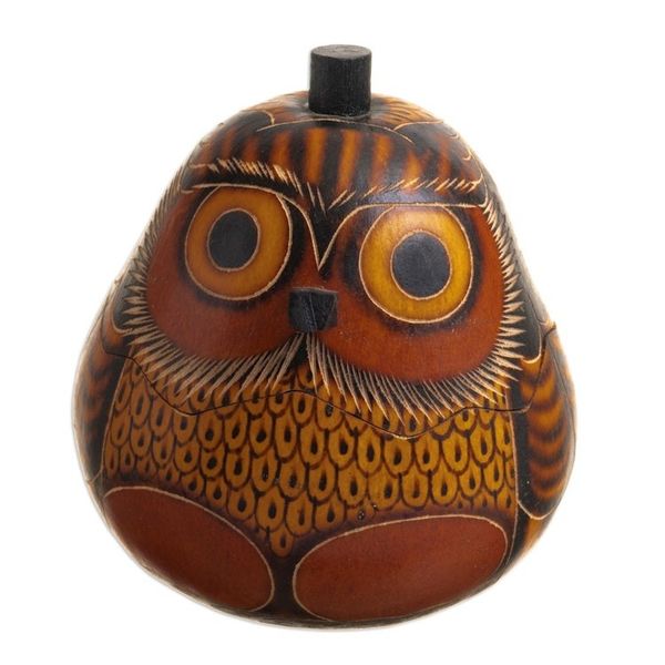 Alternate image for Mate Gourd Owl Decorative Container Owls Wisdom