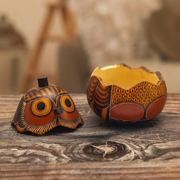Alternate image for Mate Gourd Owl Decorative Container Owls Wisdom