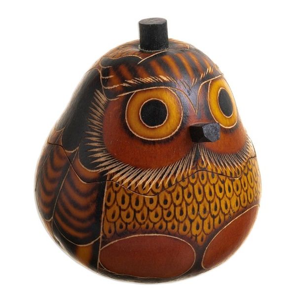 Alternate image for Mate Gourd Owl Decorative Container Owls Wisdom