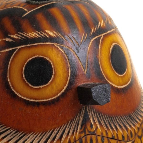Alternate image for Mate Gourd Owl Decorative Container Owls Wisdom