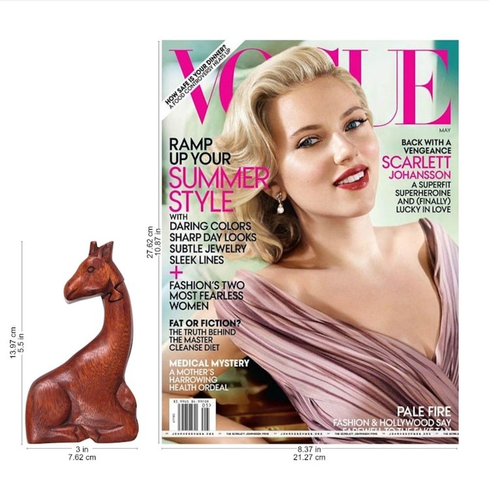 Alternate item image