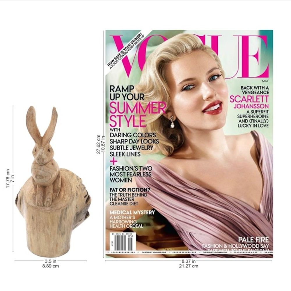 Alternate item image