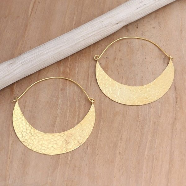 Alternate image for Hand Crafted Gold-Plated Hoop Earrings from Indonesia In the Same Canoe