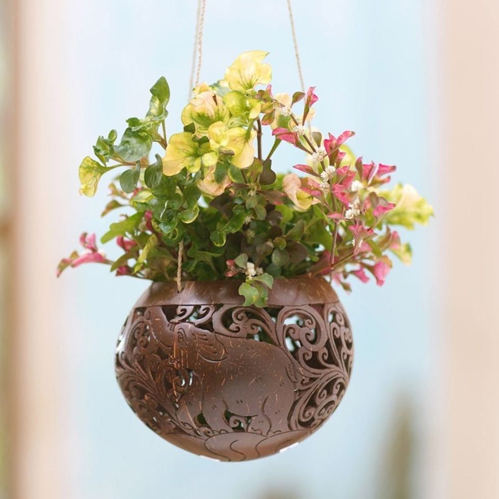 Hand Crafted Coconut Shell Hanging Planter 'Tropical House in Elephant'