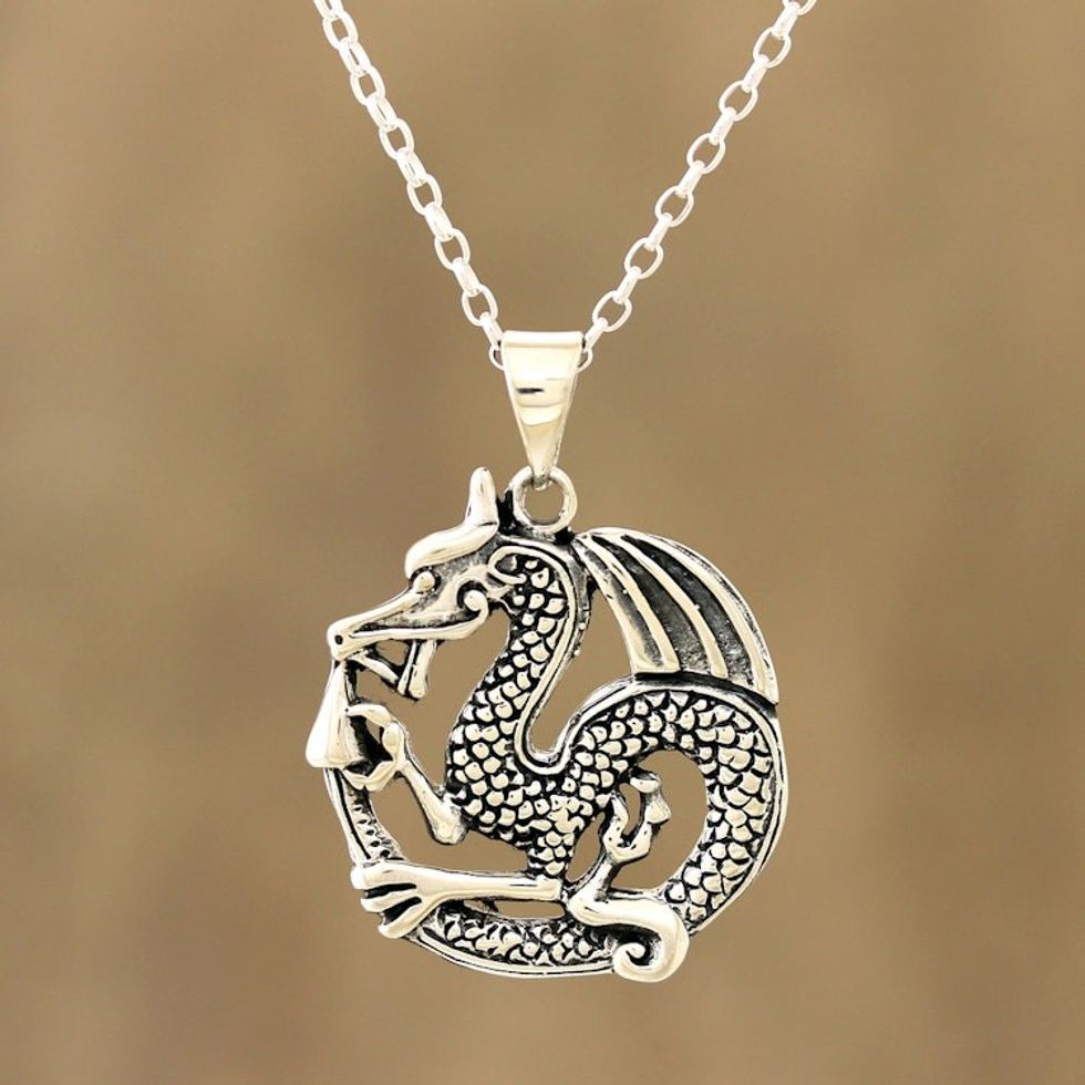 Artisan Crafted Sterling Silver Pendant Necklace from India 'Dragon's Delight'