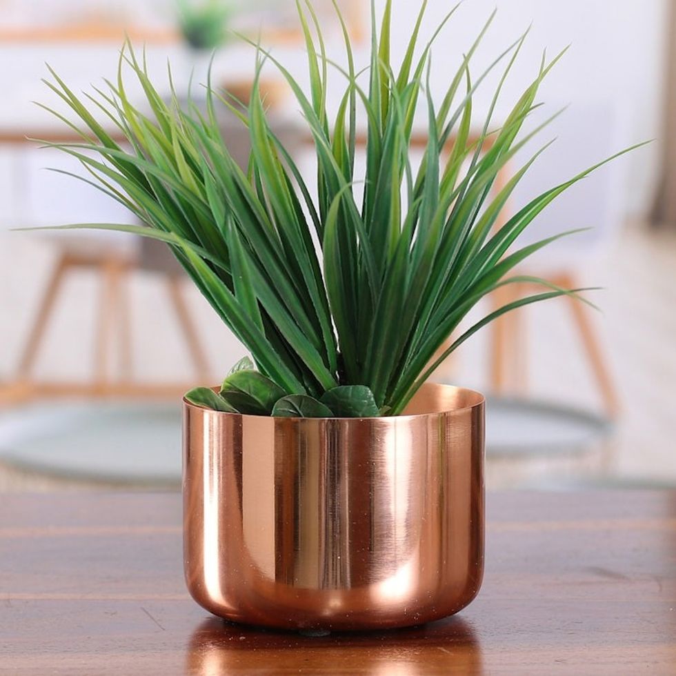 Handcrafted Polished Decorative Copper Flower Pot from India 'Copper Charm'