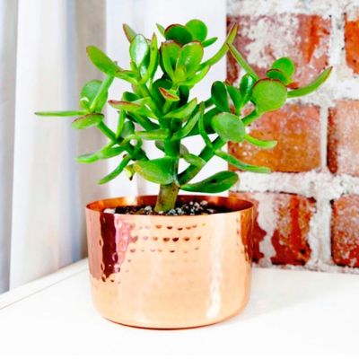 Alternate image for Handcrafted Copper Flower Pot with Hammered Finish Vintage Nature
