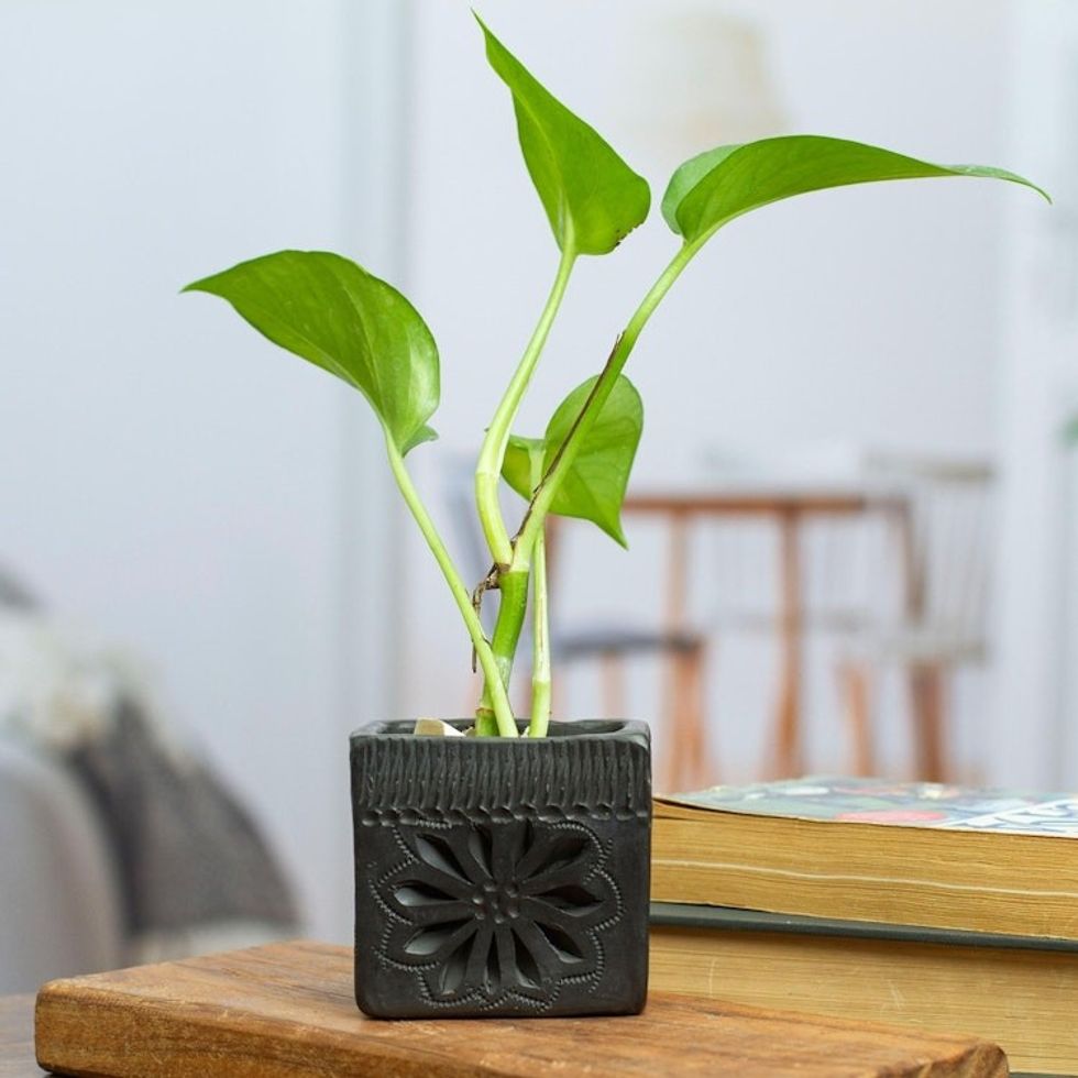 Barro Negro Black Ceramic Mini Flower Pot Handmade in Mexico 'Square Flower'