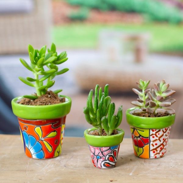 Alternate image for Set of 3 Hand-Painted Talavera Ceramic Flower Pots in Kiwi Flourishing Flora