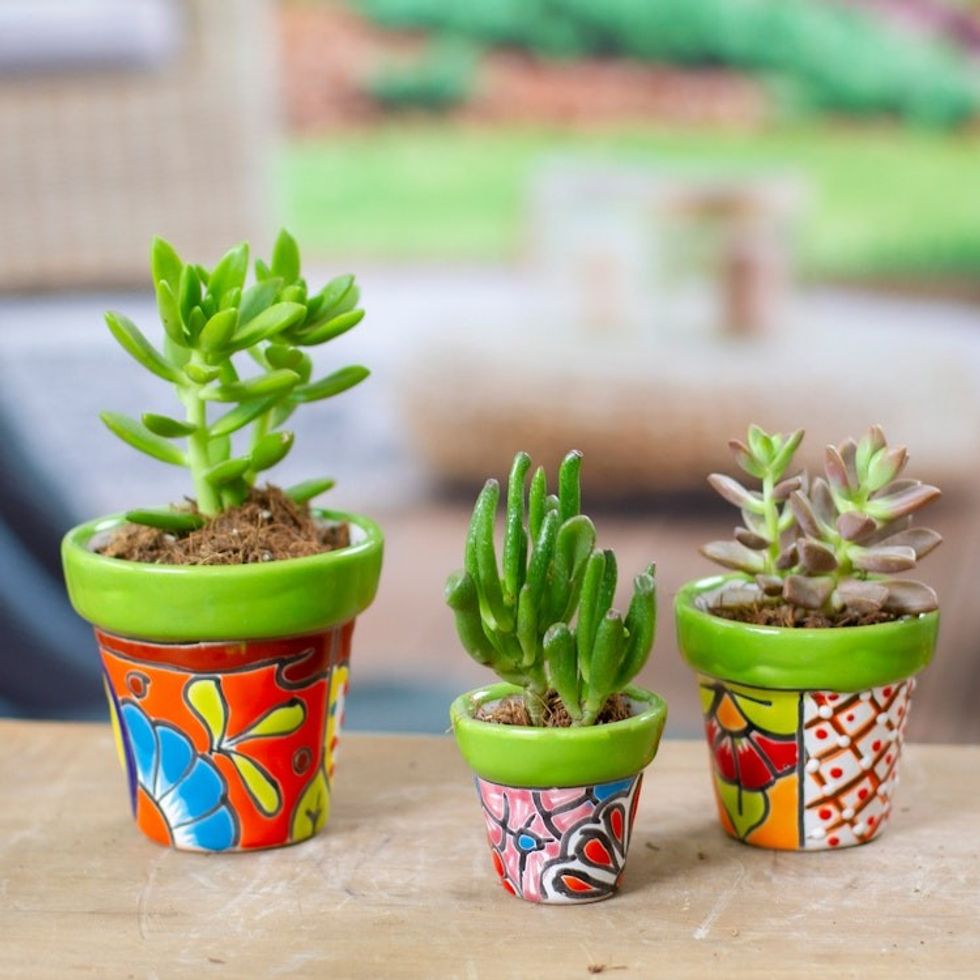 Set of 3 Hand-Painted Talavera Ceramic Flower Pots in Kiwi 'Flourishing Flora'