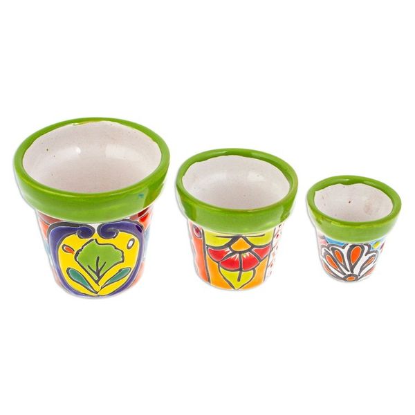 Alternate image for Set of 3 Hand-Painted Talavera Ceramic Flower Pots in Kiwi Flourishing Flora
