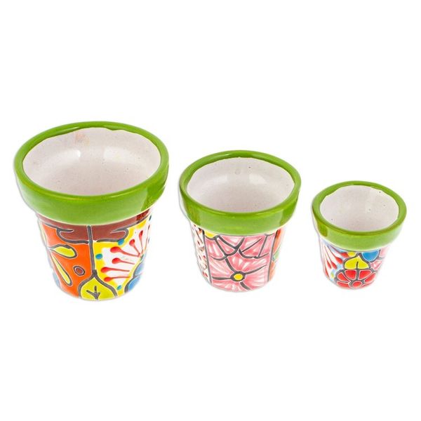 Alternate image for Set of 3 Hand-Painted Talavera Ceramic Flower Pots in Kiwi Flourishing Flora