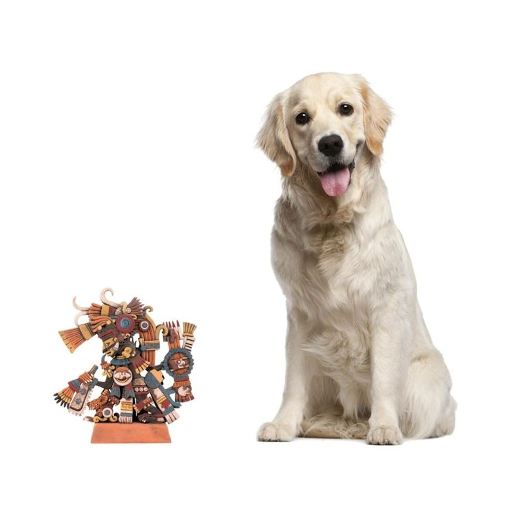 Alternate item image