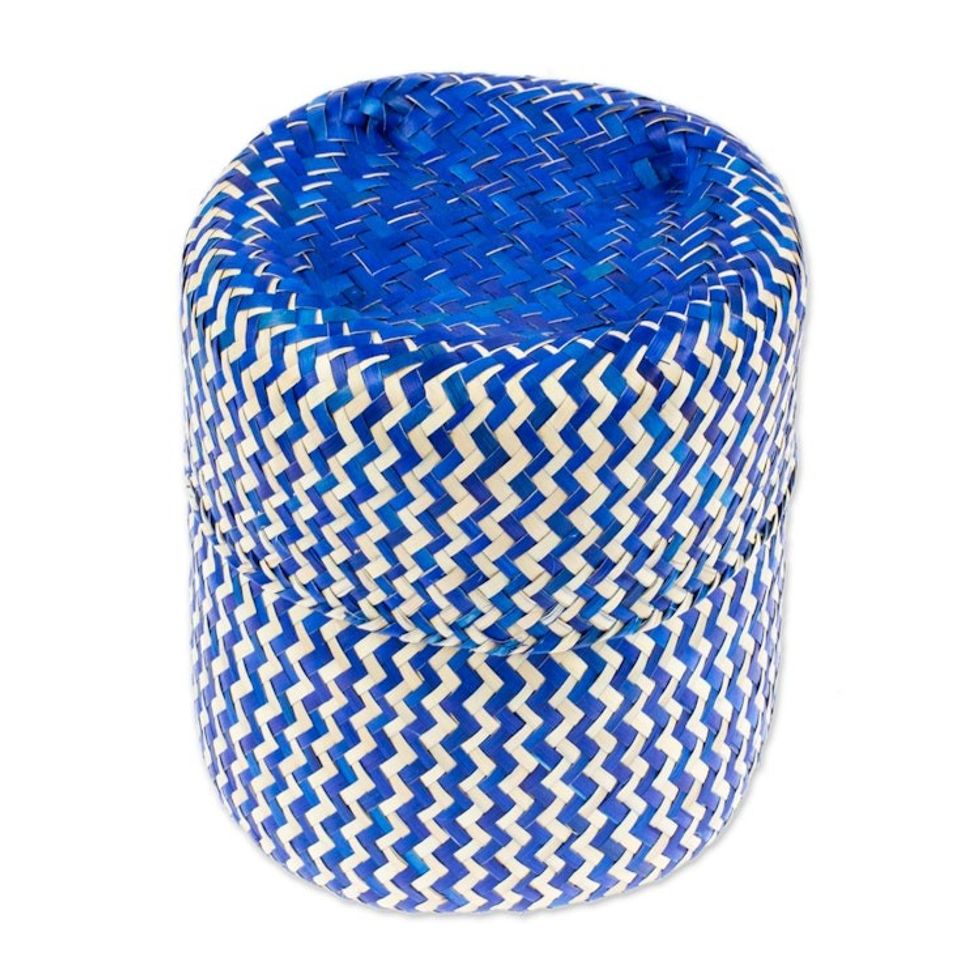 Blue Hand-Woven Palm Fiber Basket with Lid from Mexico 'Tiger in Blue'