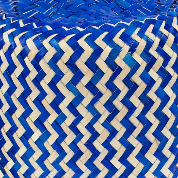 Alternate image for Blue Hand-Woven Palm Fiber Basket with Lid from Mexico Tiger in Blue